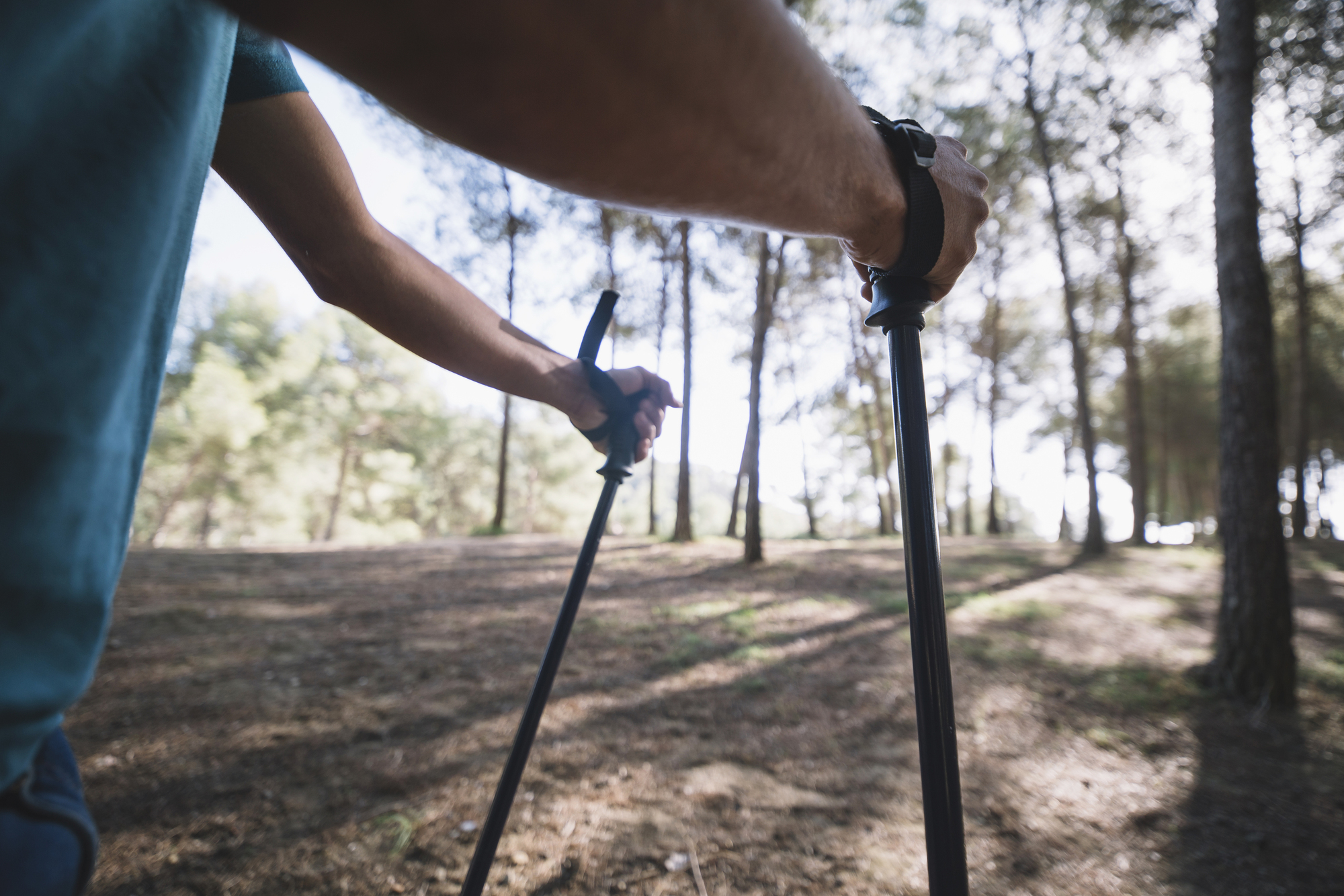 Bastón trekking